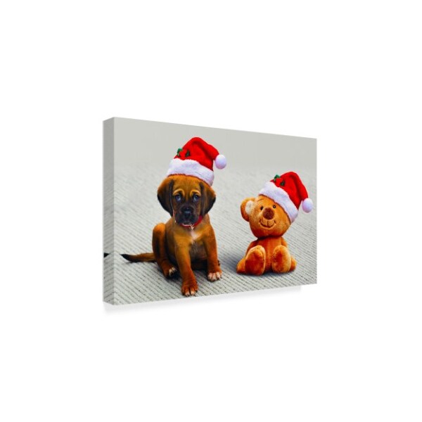 Ata Alishahi 'Puppy And Teddy' Canvas Art,12x19